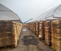 建筑模板厂家哪里多
